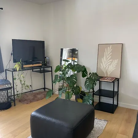 Διαμέρισμα Cozy In *